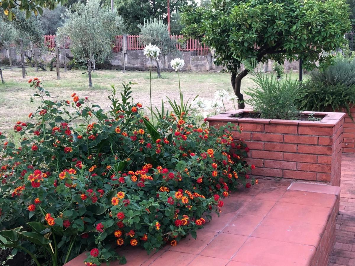 Villa Carolea 아치레알레 외부 사진