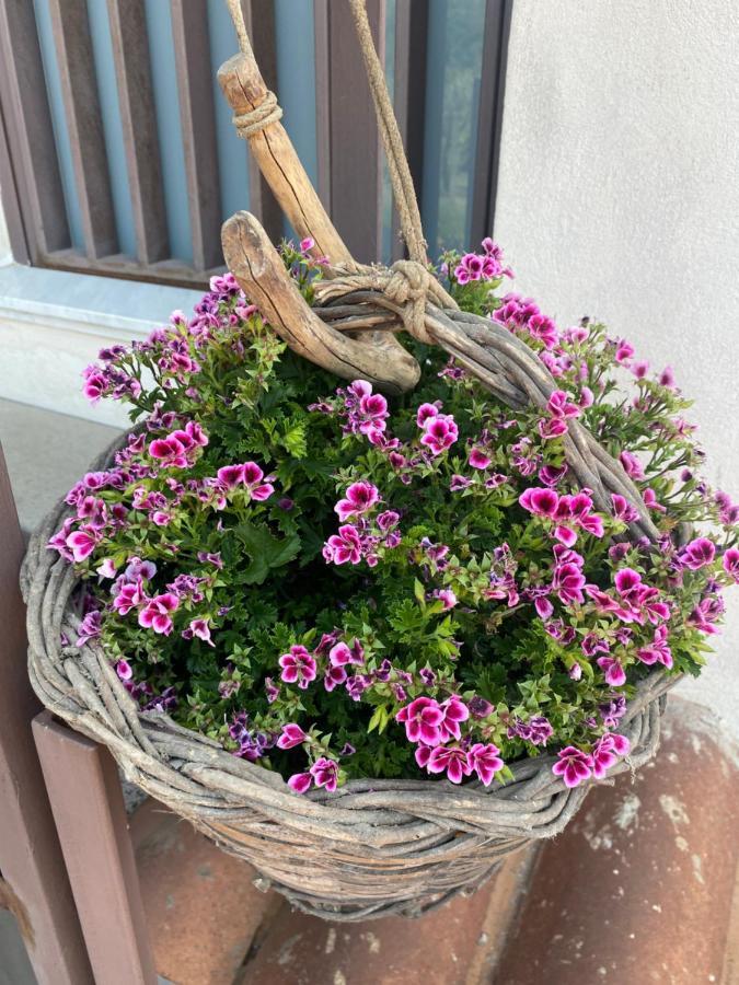 Villa Carolea 아치레알레 외부 사진