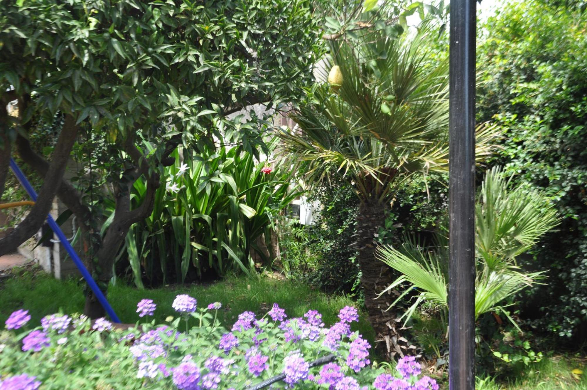 Villa Carolea 아치레알레 외부 사진